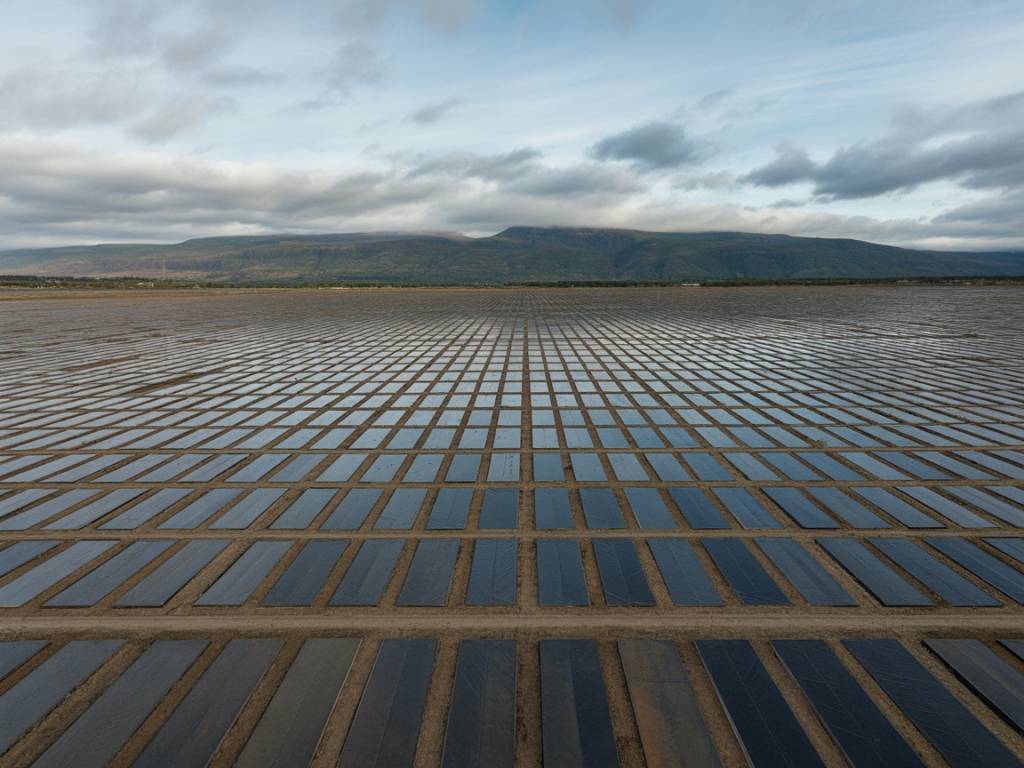 Techniques de dépollution des sols : panorama des solutions et modèles économiques émergents
